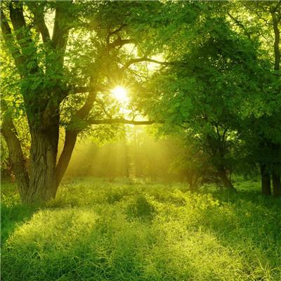 星空体育app手机app下载